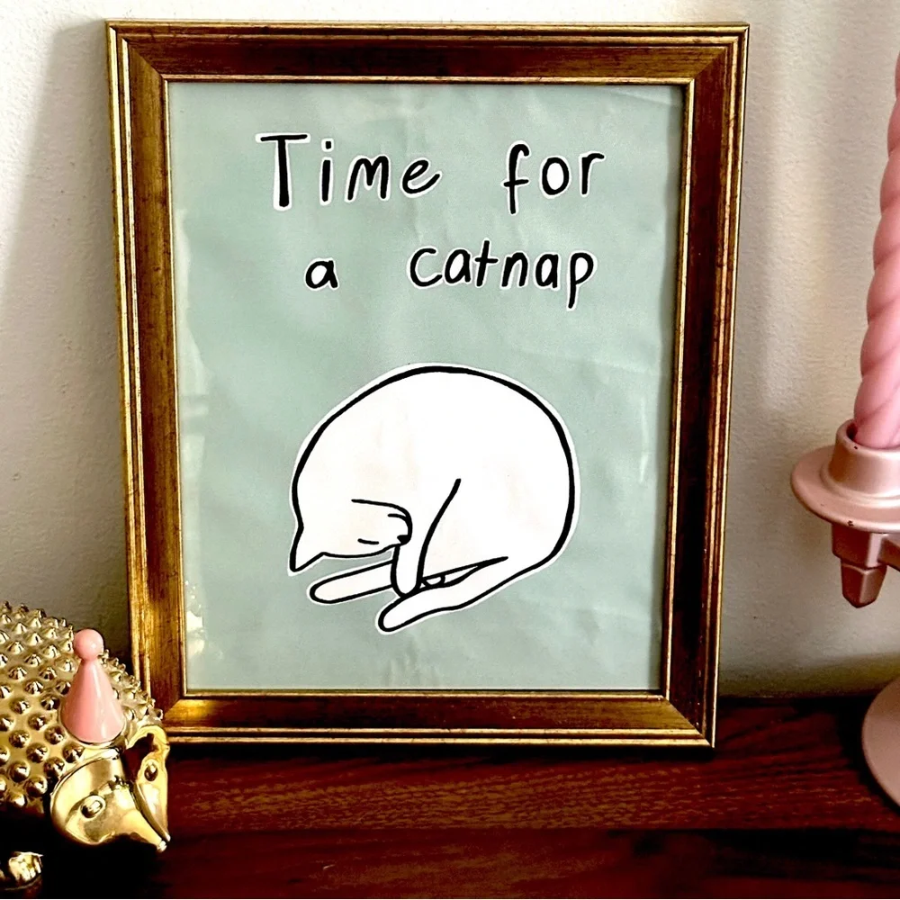 N/A time catnap